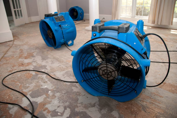 Best Water damage restoration services  in Dysart, IA