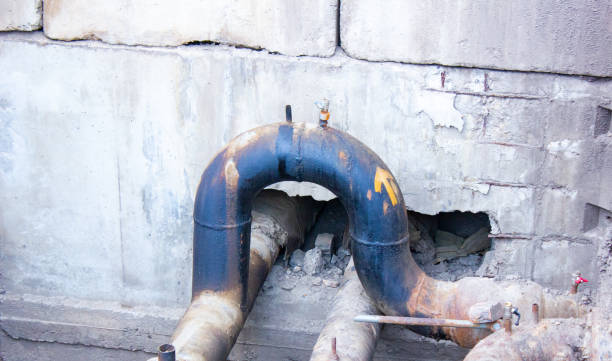 Best Water damage cleanup near me  in Dysart, IA